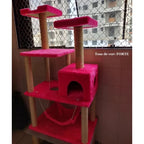 Arranhador Para Gato Castelo Cores Variadas