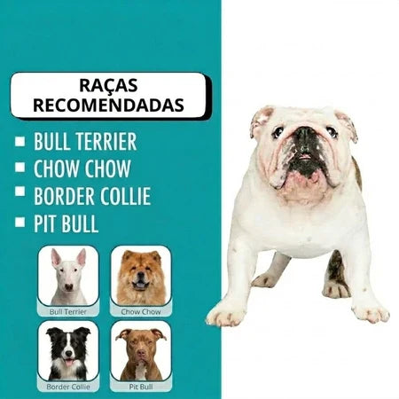 Casa Casinha Plástica De Cachorro Cães N7 Desmontável