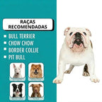 Casa Casinha Plástica De Cachorro Cães N7 Desmontável