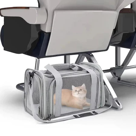 Bolsa de transporte para cães e gatos Mochila Mala de viagem para avião