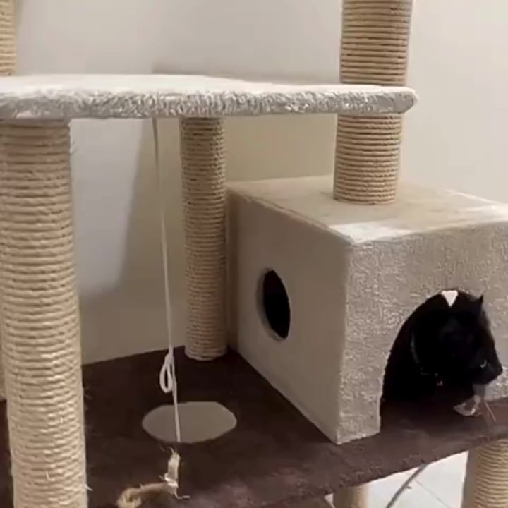 Arranhador Para Gato Castelo Cores Variadas